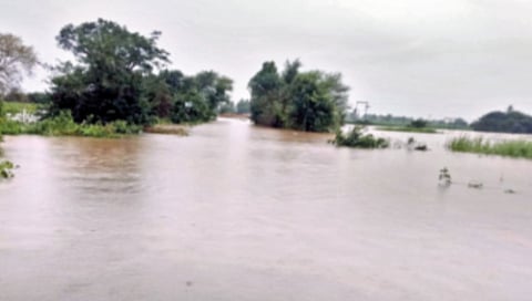 Level rise due to heavy rains in Kolhapur 
