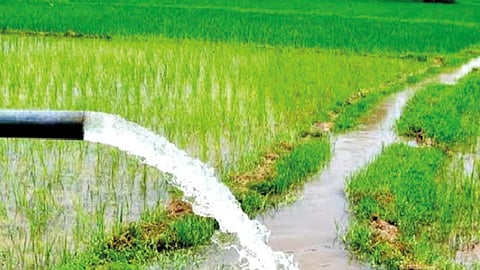 पूर नियंत्रण आणि जलसिंचन  योजनांसाठी अर्थसंकल्पात तरतूद