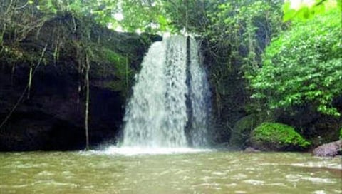 goa news 