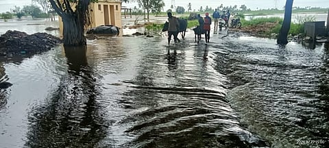 Kolhapur flood News