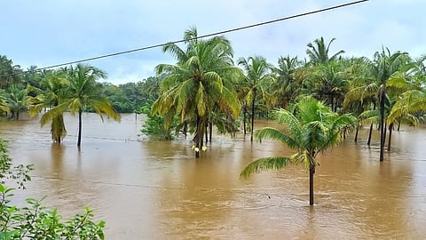 Heavy rainfall in Sindhudurg