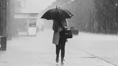 Rain Alert