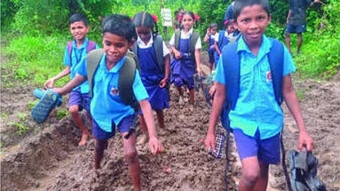 kasa dhanu palghar