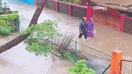 Raigad Rain Update