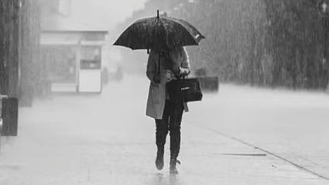 Rain Alert