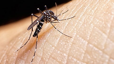 Fifth patient of Zika virus has been found in Pune