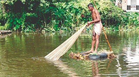 Freshwater fishing