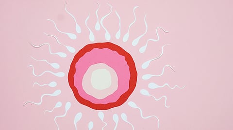 Posthumous Sperm Retrieval (PSR) Israel Hamas War