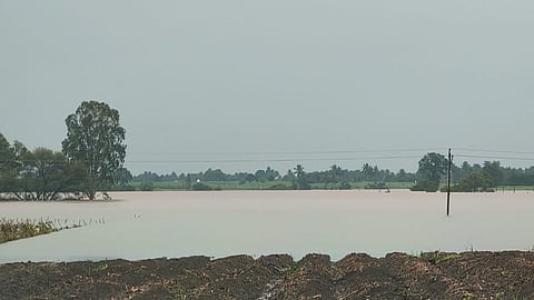 Kolhapur Flood News