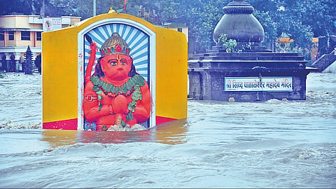 गोदावरी पूर