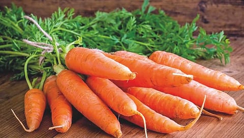  Carrot
