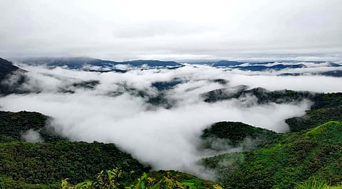 Amba Ghat lost in fog,  Tourists' choice for Monsoon tourism