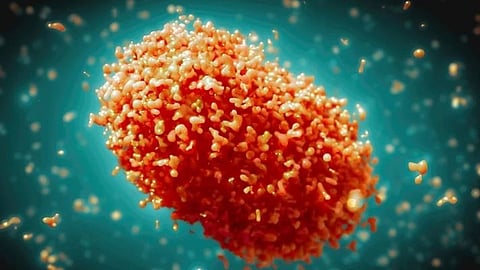 Mpox virus 