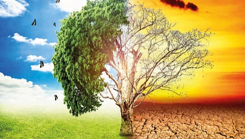 Changing climate and cropping patterns