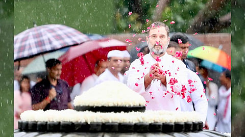 Rahul Gandhi 