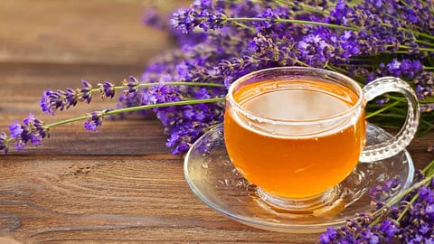 Herbal tea is effective against insomnia