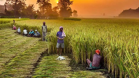 Farmers Welfare Scheme By Government 