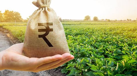 Crop Insurance Scheme