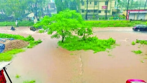 Sindhudurg Rain