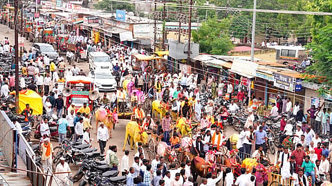 Mohol to Mumbai march 