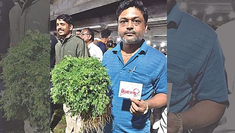 Nashik Coriander Rate 