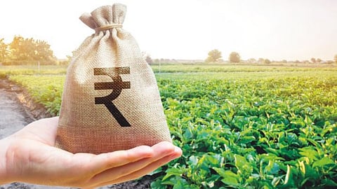 Agricultural sector