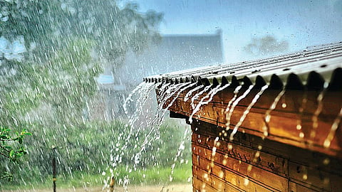  unseasonal rain news