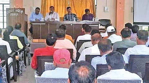 Satara Assembly Election