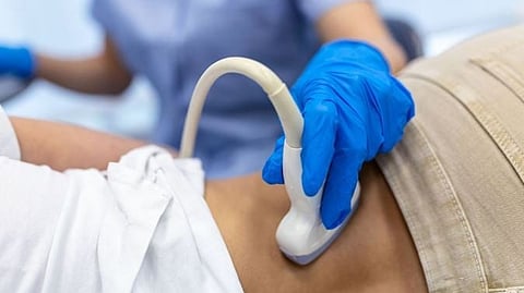 Kidney Function