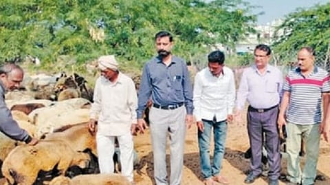 पिंपळनेर 