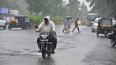 Nashik Rain Update 