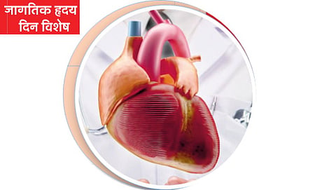 World Heart Day Special