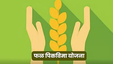 Crop insurance