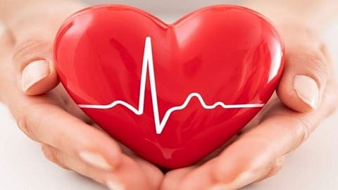 How healthy is the Indian heart in this clockwork world