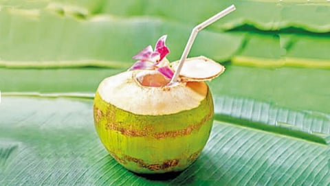 Coconut water also has some serious disadvantages