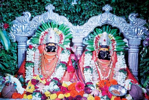 vandevi