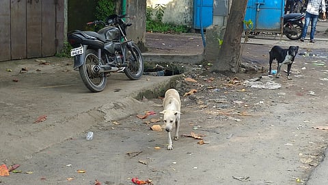 Bhiwandi