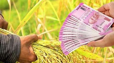 crop loan