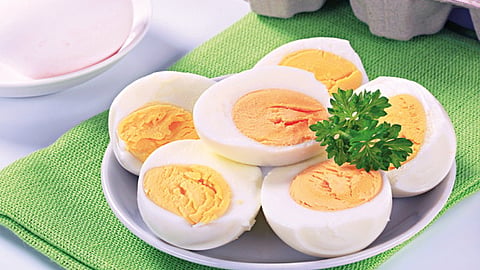 Avoid Eggs In Heat 