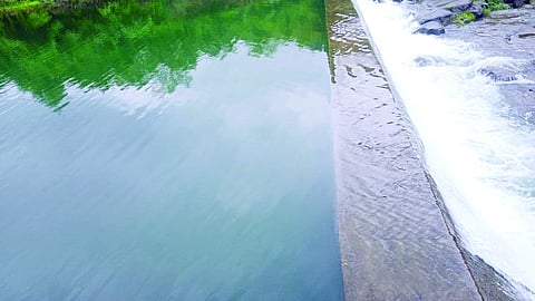Raigad Dam Water Level