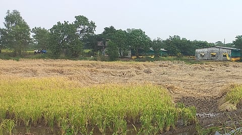 त्र्यंबकेश्वर, नाशिक