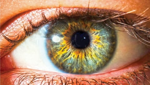 Most Important Vitamins for Eye Health