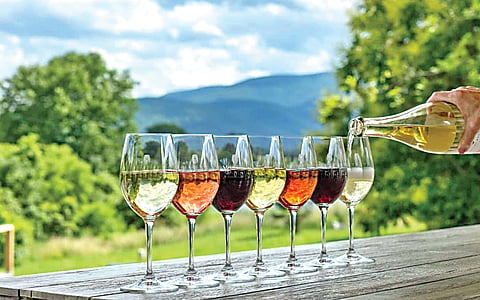 Wine Capital Nashik 
