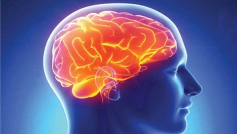 Brain health proteins