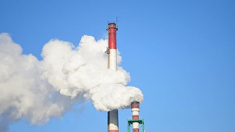 COP29