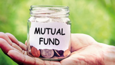 International Funds for Portfolio Diversification