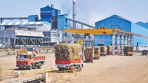 Sugarcane Crushing