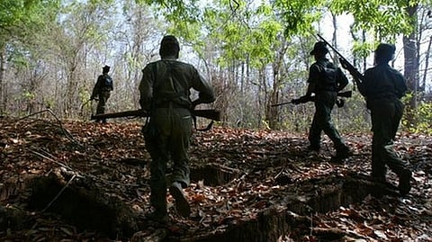 two women naxals killed in gadchiroli forest