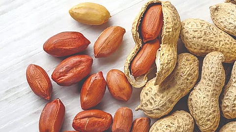 मागणीअभावी साखर, नारळ आणि शेंगदाण्याचे दर घसरले