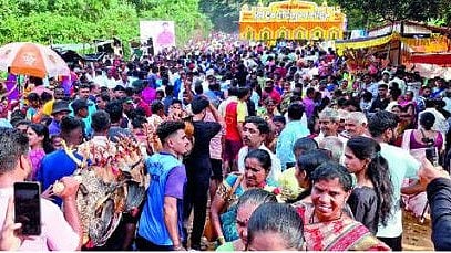 Shree Dev Ghodemukh Jatra 